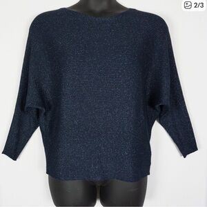 😊 Chicos Demi Dolman Shimmer Pullover Sweater Sz 2/ US Large 12/14